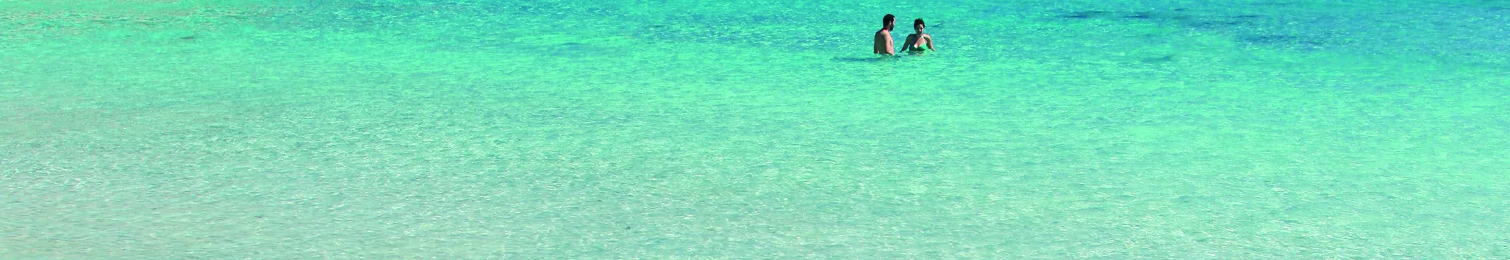 Zusätzliche Partner